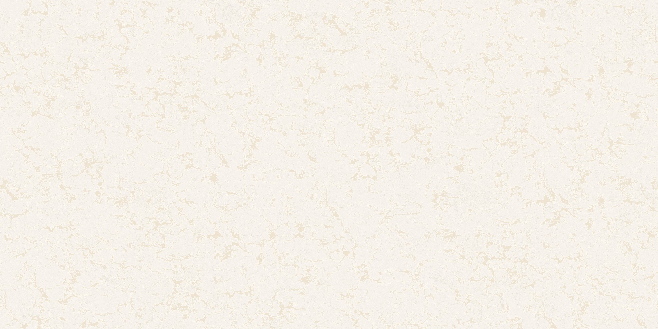 3031