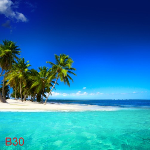 B30