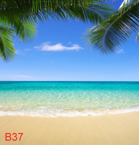 B37